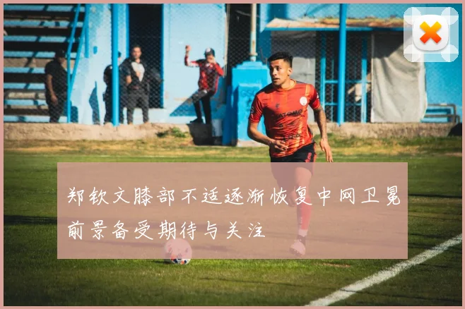 郑钦文膝部不适逐渐恢复中网卫冕前景备受期待与关注
