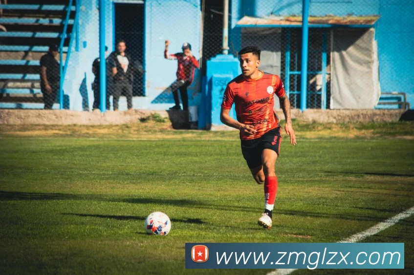 三亿体育平台生态图