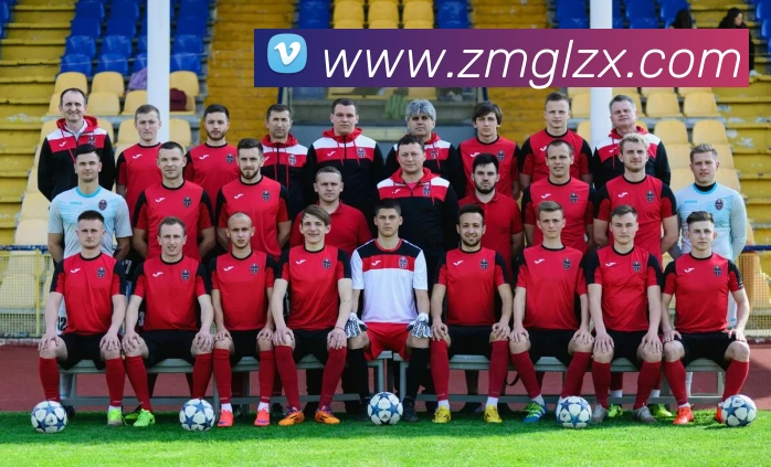 三亿体育APP 封面图