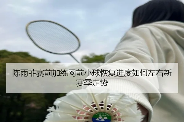 陈雨菲赛前加练网前小球恢复进度如何左右新赛季走势
