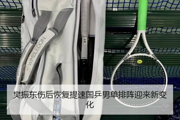 樊振东伤后恢复提速国乒男单排阵迎来新变化